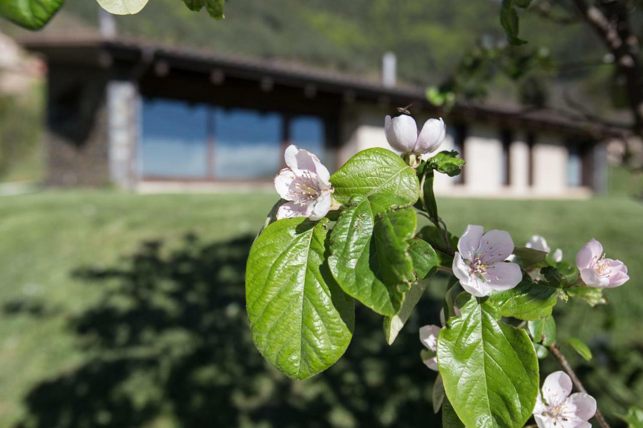 Cal Sadurni Villa Bruguera Екстериор снимка